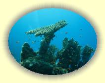 IMG_2007_05_29 16_06_34 * 3072 x 2304 * (681KB)